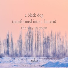 a black dog transformed into a lantern the way in snow naviarhaiku 513