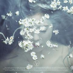 [Full Album] Like a flower Red Velvet Irene