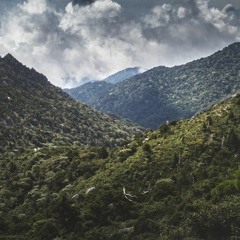 アシタカとサン Ashitaka and San - 久石 譲 Joe Hisaishi (Princess Mononoke OST)