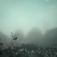 reverie