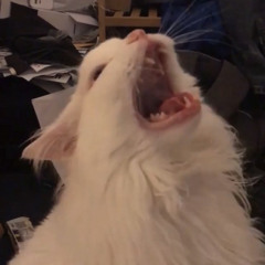 AAAAAAAAAAAAAAAAAAAAAAAAAAAAAAAAAAAAAAAAAAAAAAAAAAAAAAAAAAAAAAAA