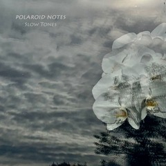 Polaroid Notes - Slow Tones EP