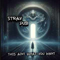 STRAY DUB - THIS AINT WHAT YOU WANT [FREE DL]