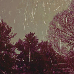 Rest In Pussy Remix (prod. WILLIE G)