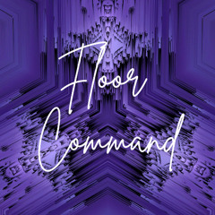 Floor Command - DJ KRISH