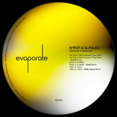 N'Pot, G-Falex - Once in a while (Daylight Rhythm Mix) [ZFD033]