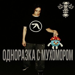 ОДНОРАЗКА С МУХОМОРОМ