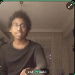 Zadabtch/PickyadeadassmomUp!