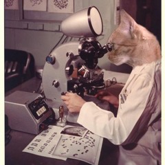 Ciencia -Beat instrumental LoFi 80 bpm x williegrimey