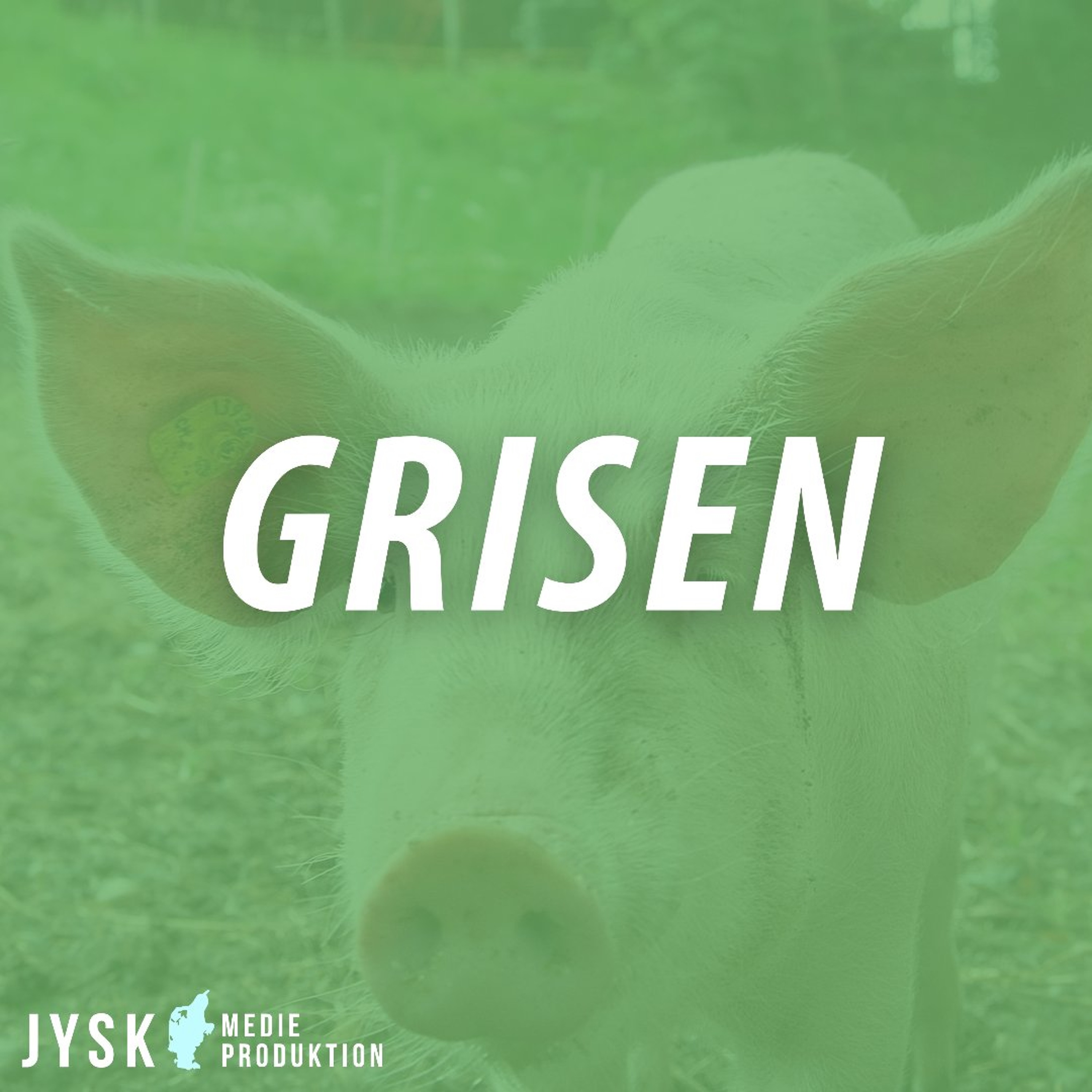 Grisen 2026 - E31: Anders og Dillemaerne - Når ansvaret ikke følger med titlen