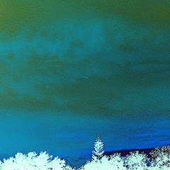 Fast (Demo)