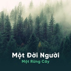 Một đời người một rừng cây