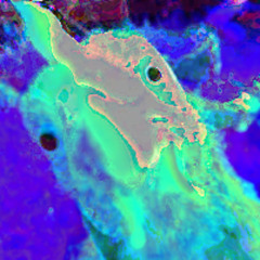 000010570214