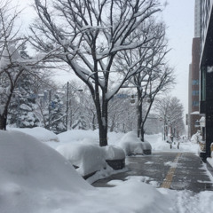 Sleigh Ride for Piano solo / Transcribed by I.Schumi(2019)