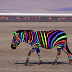 feeling crazy why would you do that