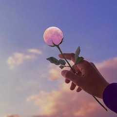 أنشودة ولي أمل بربي لا يخيب(MP3_128K).mp3
