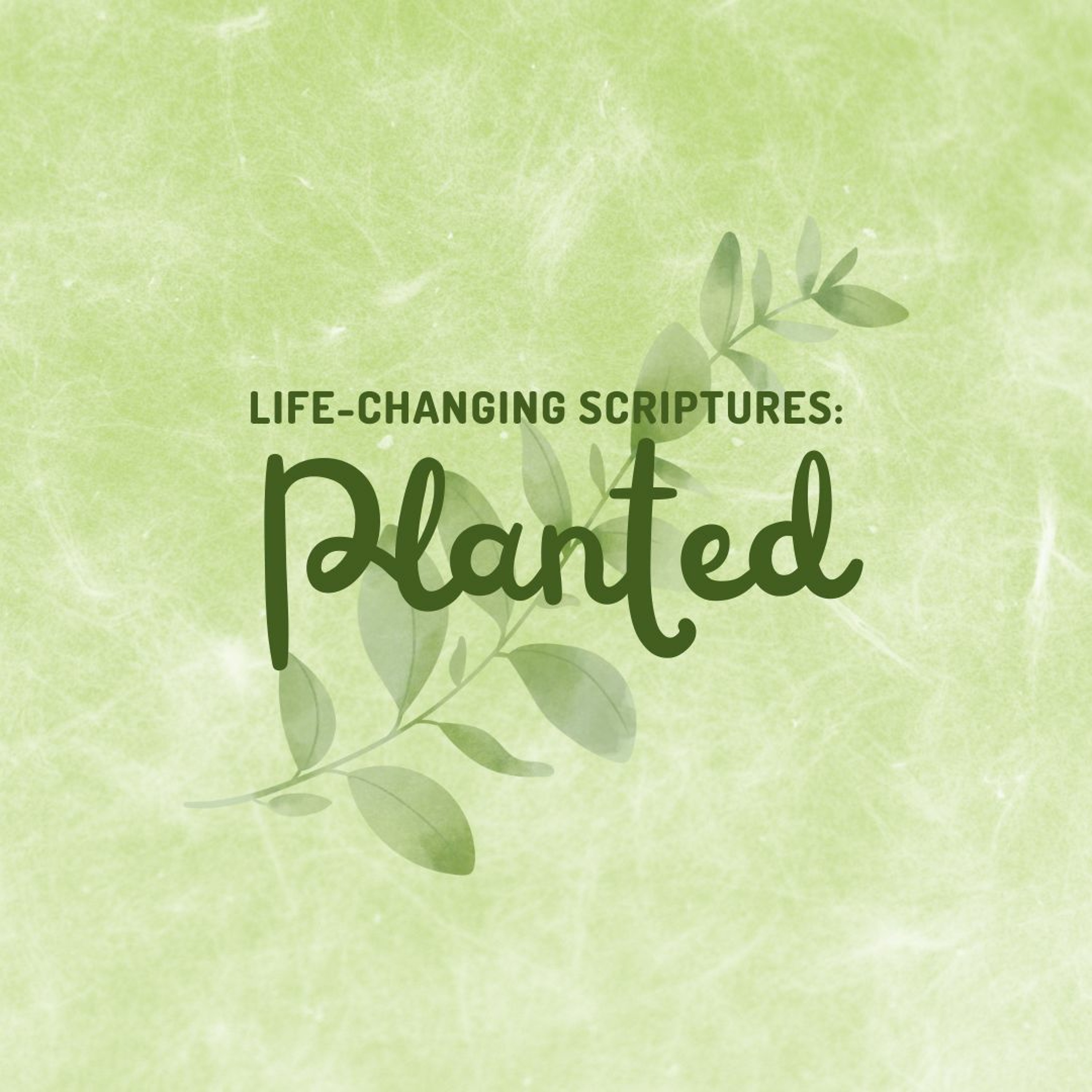 Planted - Rana S episode artwork