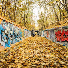 autumn comes around (STBB 968)