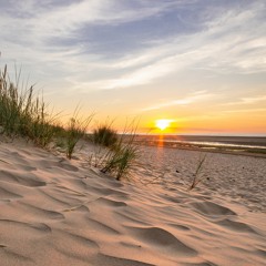 Sand Patterns - Extract