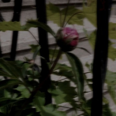 when the rain subsides