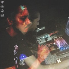 SkitZoid @ Groove Garden 2.0