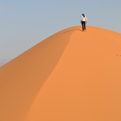The Seed and The Sand