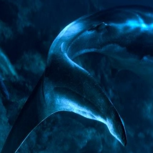 CRUZ CAFUNÉ ❌ ROSALÍA 🦈🏍 - MOVEZZ EN SILENCIO (MVSSIVE REMIX)