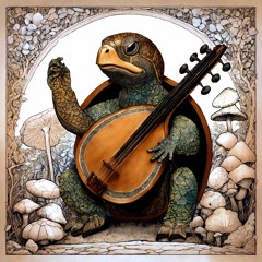 Ashk x Shoja - DomeBack