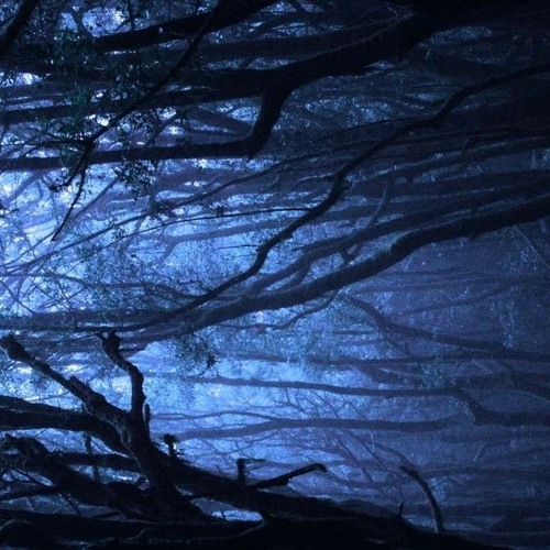 Ma Voix (prod. Neverforever)