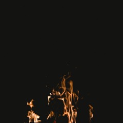 Bimbotronic- Night Flame