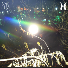 Sky^Guy//Monarch - Cant You See
