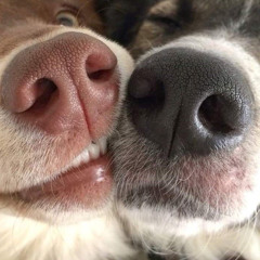 joyce pt 2, cloudbxy