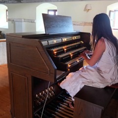 Organ in Franciscan Church