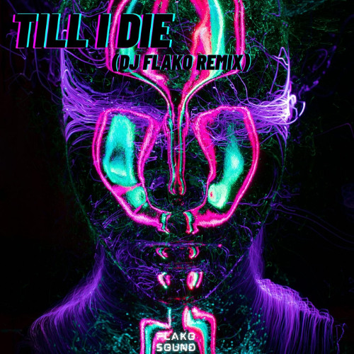 DJ FLAKO - Till I Die (Remix)