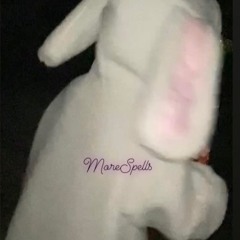 ZEN X - Vodkaonrocks [prod. jxyy2k]