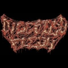 Digested Flesh - Spinal Cord Reconstruction