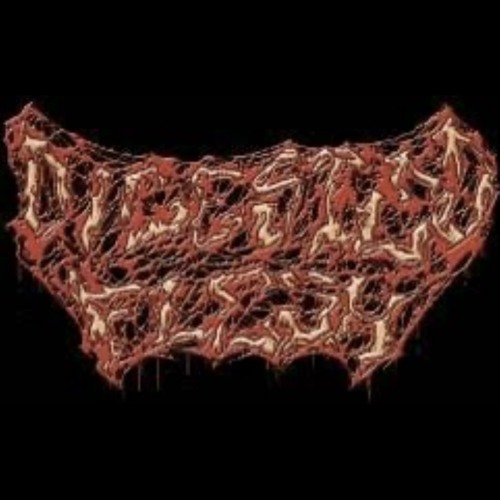 Digested Flesh - Spinal Cord Reconstruction