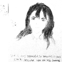 I saw you through the picture(The worst song ever fr)