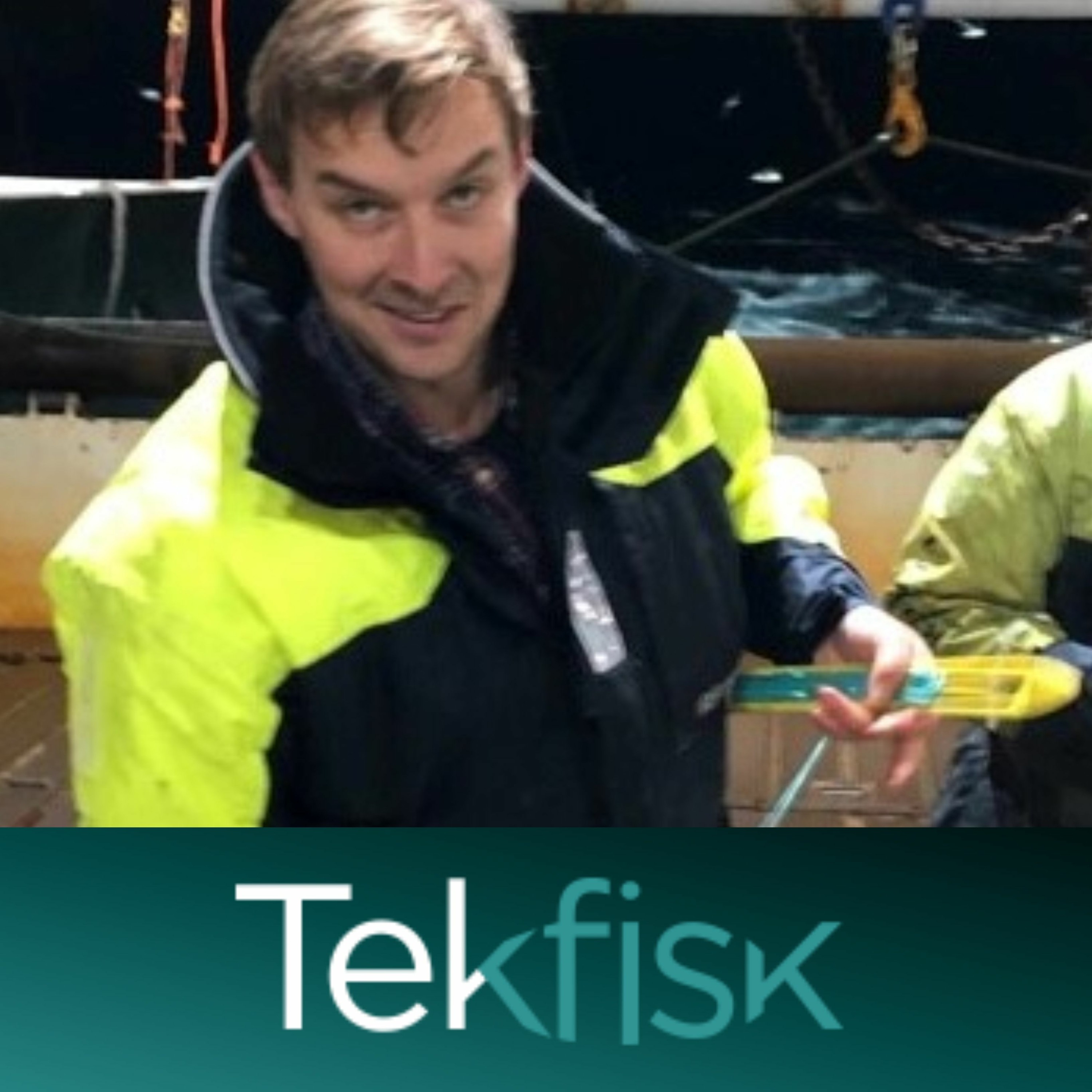 Tekfisk