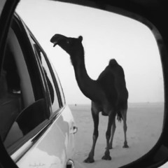 " وان عـرّضت كنها من جبال العلا "
