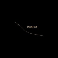 Cheetah cub ( Original mix )