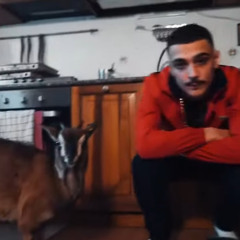 Papa V - INTORNO ALLA CAPRA (prod. Fri2  Freestyle da Instagram).mp3