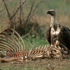 RACKoutrackoutrackout