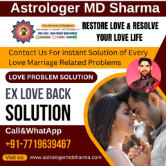 Best Love Problem Solution in the USA | Astrologer MD Sharma
