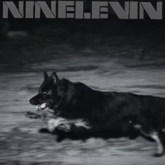 Benny the Butcher & Lil Wayne - Big Dog (NINELEVIN Remix)