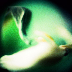 Corey Mastrangelo Live at Light & Sound Design 9/10/25