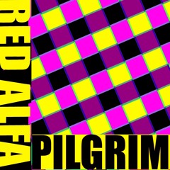 Pilgrim