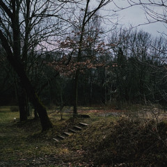 Горе, мое горе