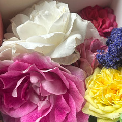 Angel Dressed In Black V3 DEMO