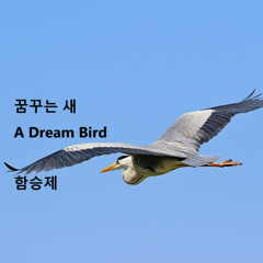 꿈꾸는 새(A Dream Bird)
